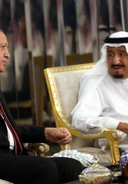 أمير قطر يبحث سبل حل الأزمة الخليجية مع أردوغان.jpg
