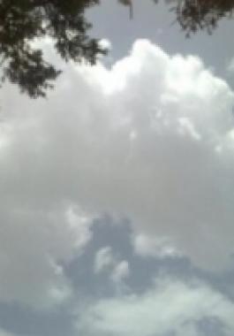 thumb (10)