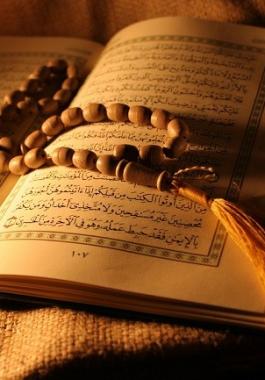 ما هي افضل السور المستحب قراءتها في يوم عرفة