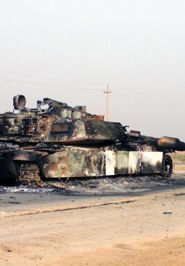 DM-SD-04-07075