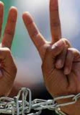 بعد قضاء 12 عاما في الأسر