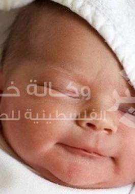 thumb (19)