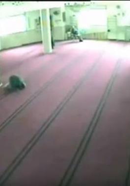 fvfvfvfv-jpg-55322814811882494