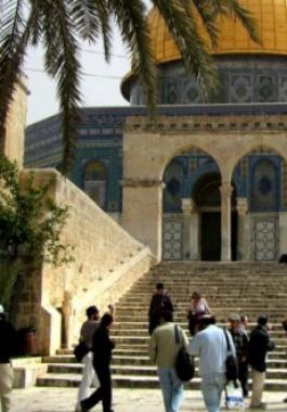 مستوطنون يقتحمون الأقصى وسط حماية مشددة من قوات الاحتلال