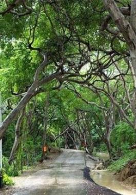 160518094334209-e_954177_large