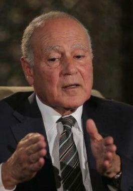 ابو الغيط.jpg