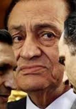 images (7)