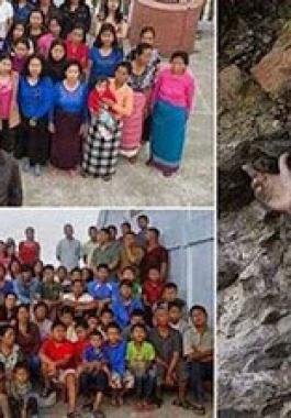 free-1967850204069206244