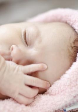 istock_000017963386large-1-980x490