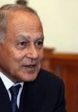 أبو الغيط عدم تسوية القضية الفلسطينية سيمثل مصدرا رئيسا لعدم الاستقرار