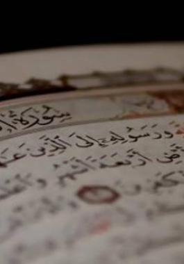 ujv-jpg-60260182643441198