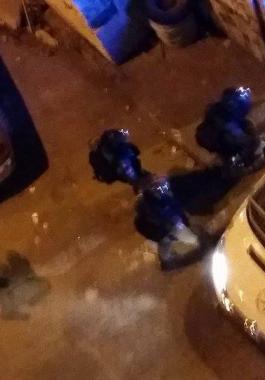 12342288_423176617872868_6859699451364311801_n