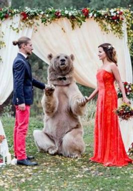 39e6c1b100000578-3889626-stepan-the-bear-loves-people-and-has-never-bitten-anyone-he-eats-a-31-1477917877560-730x487-jpg-56751406554899545