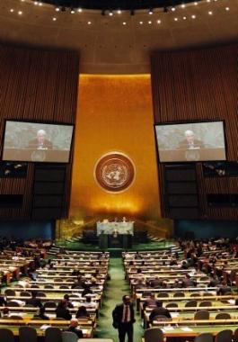 الامم المتحدة