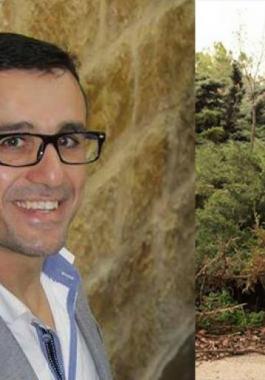 ابو عويس وطه