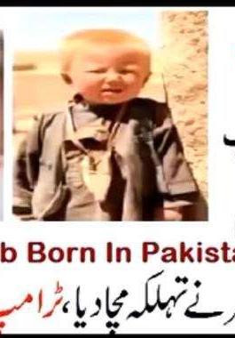 ترامب الباكستاني
