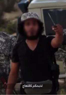 3165b3334fcaf3d95b726e01ce5301b0