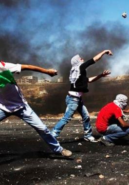 4462e5b8db9accce4461a06c408f3c5b