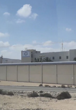 بالفيديو: وكالة 