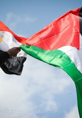 مصر وفلسطين