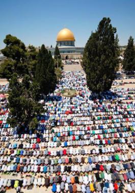 quds999