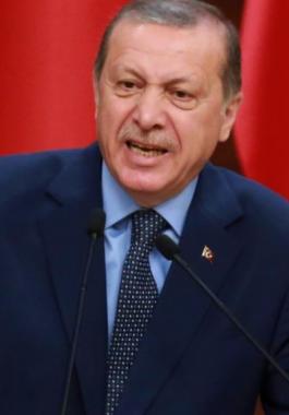 أردوغان: سلطات 