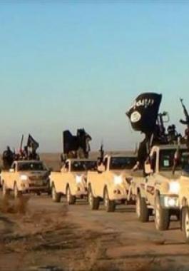 b5bea3f6361cfc62edac2bd660b2113e