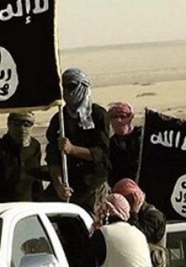 8cd1383dd8dc2dc6b33ab1c74bf37f96