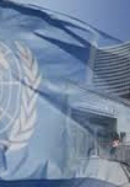 الأمم المتحدة في فيينا تحيي يوم التضامن مع الشعب الفلسطيني