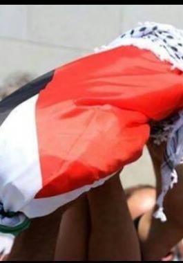 11813379_500871293411167_9088478789046953699_n