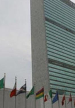 مندوبة أمريكا في الأمم المتحدة نؤيد حل الدولتين