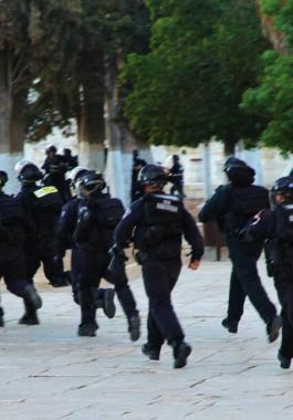 اقتحامات الاقصى 