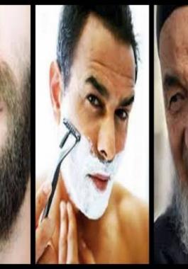 hgf-jpg-04858242941751656