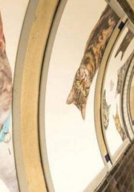 cbafcc097941602aaee50efb01d78d80_853537_large