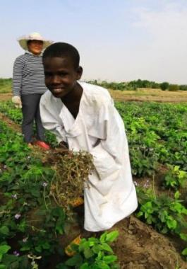 قطر تستثمر نصف مليار $ في الزراعة بالسودان.jpg