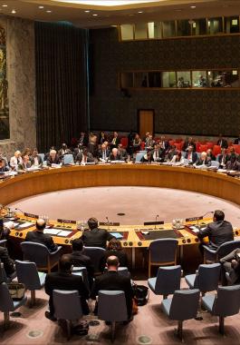 مجلس الامن الدولي.jpg