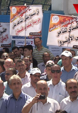 بالفيديو: موظفو 