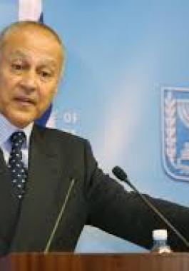 احمد ابو الغيط