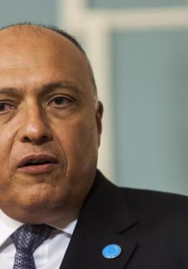 Sameh-Shoukry-5