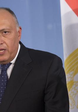 شكري يؤكد على تمسك العالم العربي برؤيته المشتركة لحل الصراع العربي الإسرائيلي