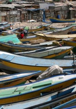 إعادة تأهيل 44 قارب صيد في رفح وخانيونس
