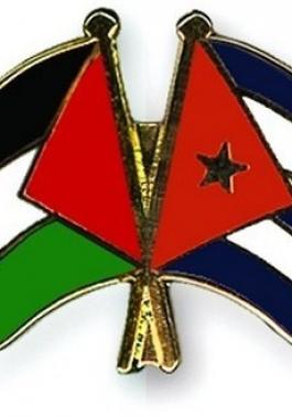 علم فلسطين وكوبا