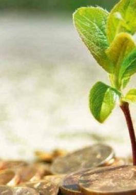 صدقة الفطر ثمانية شواقل