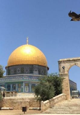 الاتحاد النسائي بالخرطوم يدين انتهاكات الاحتلال للأقصى.jpg