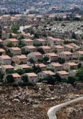 سرقة اراضي.jpg