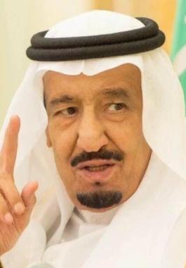 ملك السعودية يعتذر عن حضور قمة العشرين بألمانيا