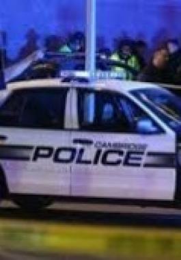 مقتل 20 شخصا في حادث سير بولاية نيويورك
