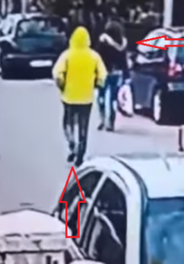 كلب يحمي سيدة من لص في الشارع !