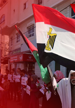 بالفيديو: دعم وإسناد الشعب الفلسطيني لـ