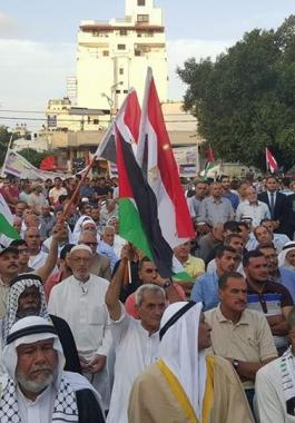 العشائر